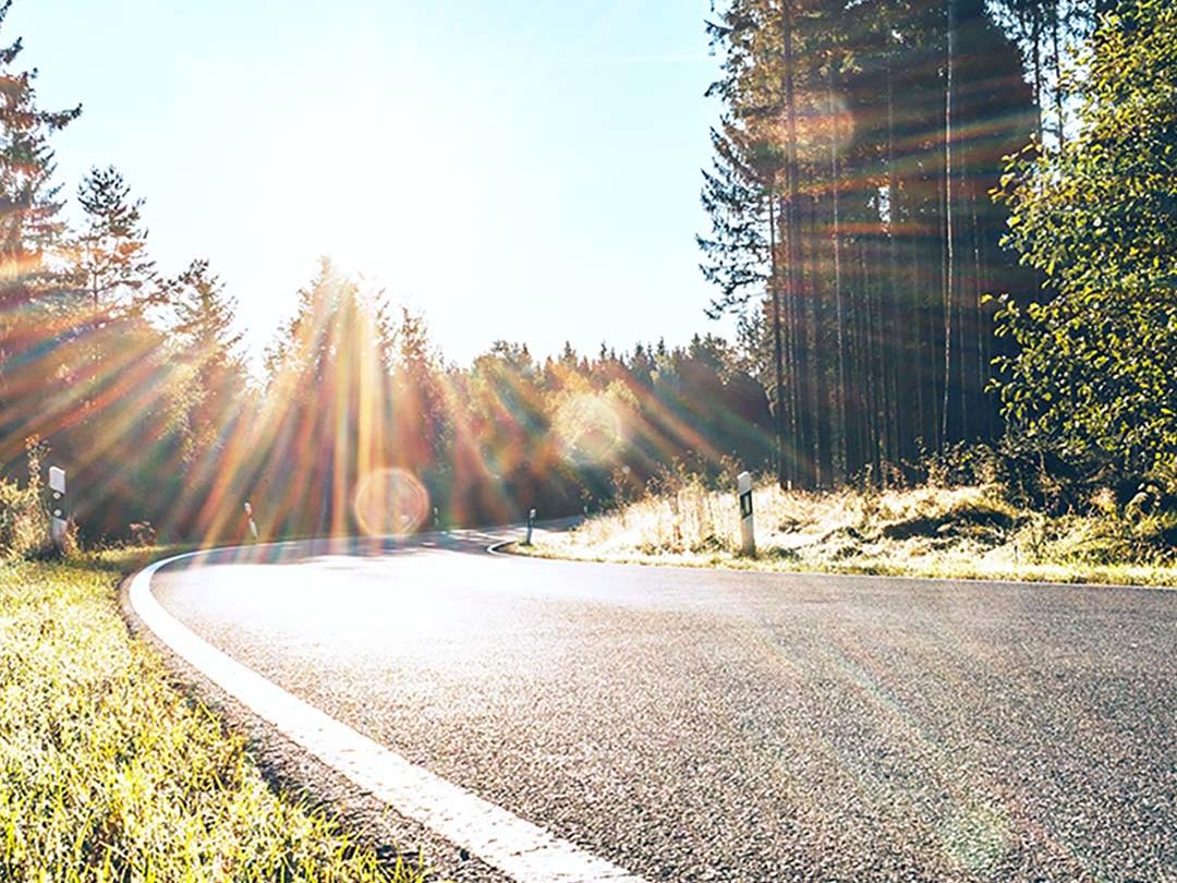 Et skydebillede, hvor den ene halvdel viser en vej i skoven med skarpt sollys, og den anden halvdel viser den samme vej med reduceret blænding og øget kontrast, hvilket understreger effekten af ​​polariserede solbrilleglas.
