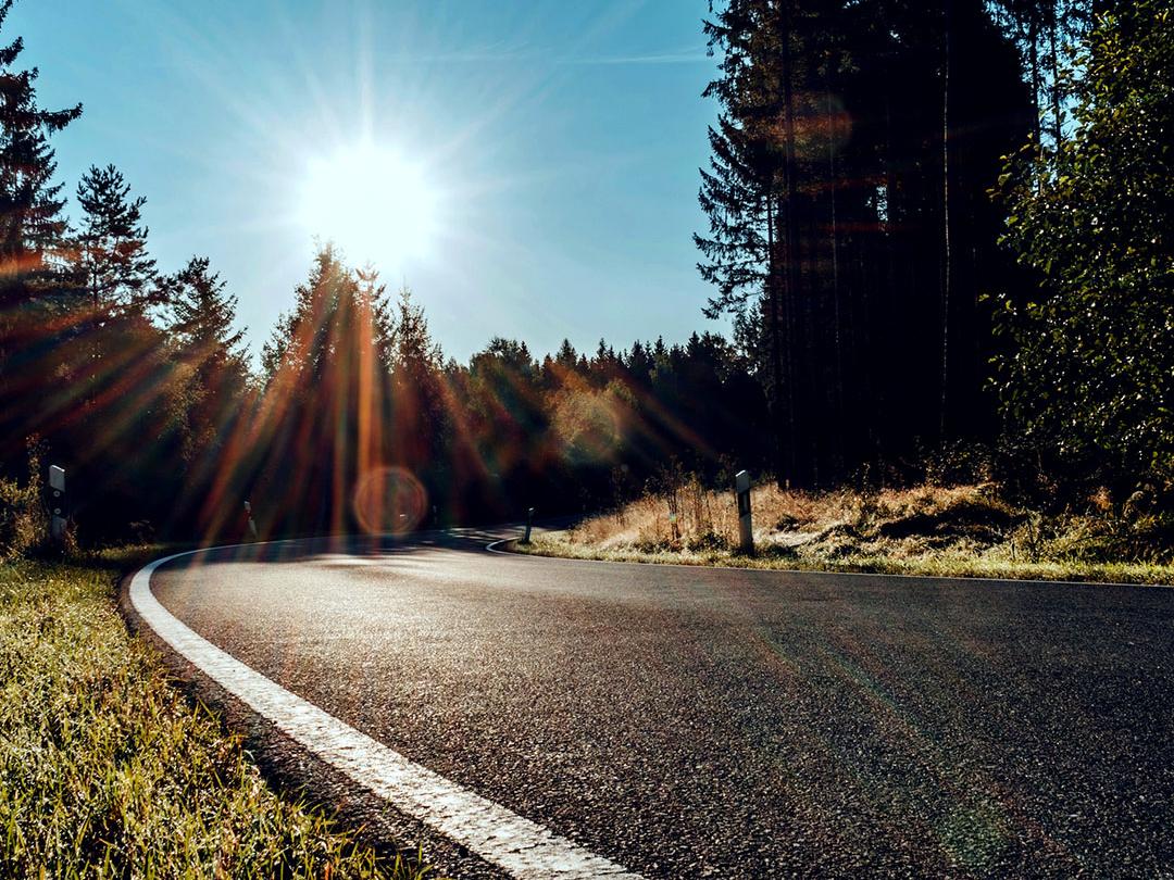 Et skydebillede, hvor den ene halvdel viser en vej i skoven med skarpt sollys, og den anden halvdel viser den samme vej med reduceret blænding og øget kontrast, hvilket understreger effekten af ​​polariserede solbrilleglas.