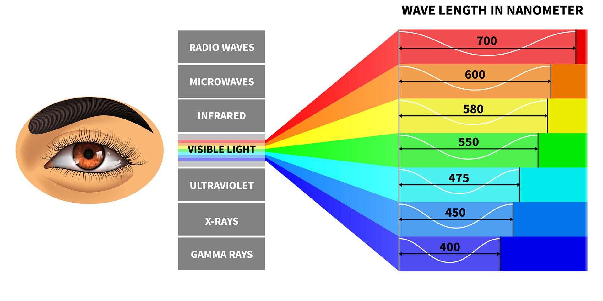 Synligt lysspektrum med farvebølgelængde opfattet af det menneskelige øje.