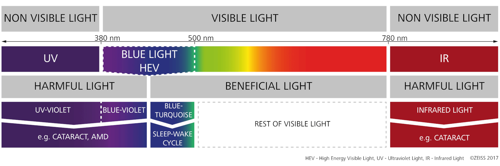 UV-lys