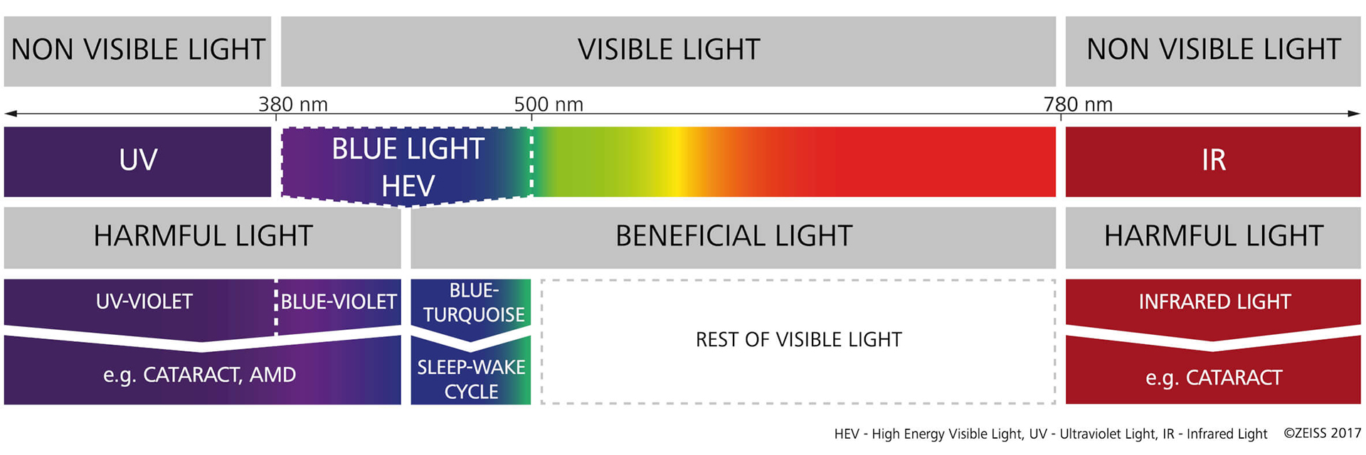 Vores tap-synsceller sørger for det – sådan fungerer farvesynet. 