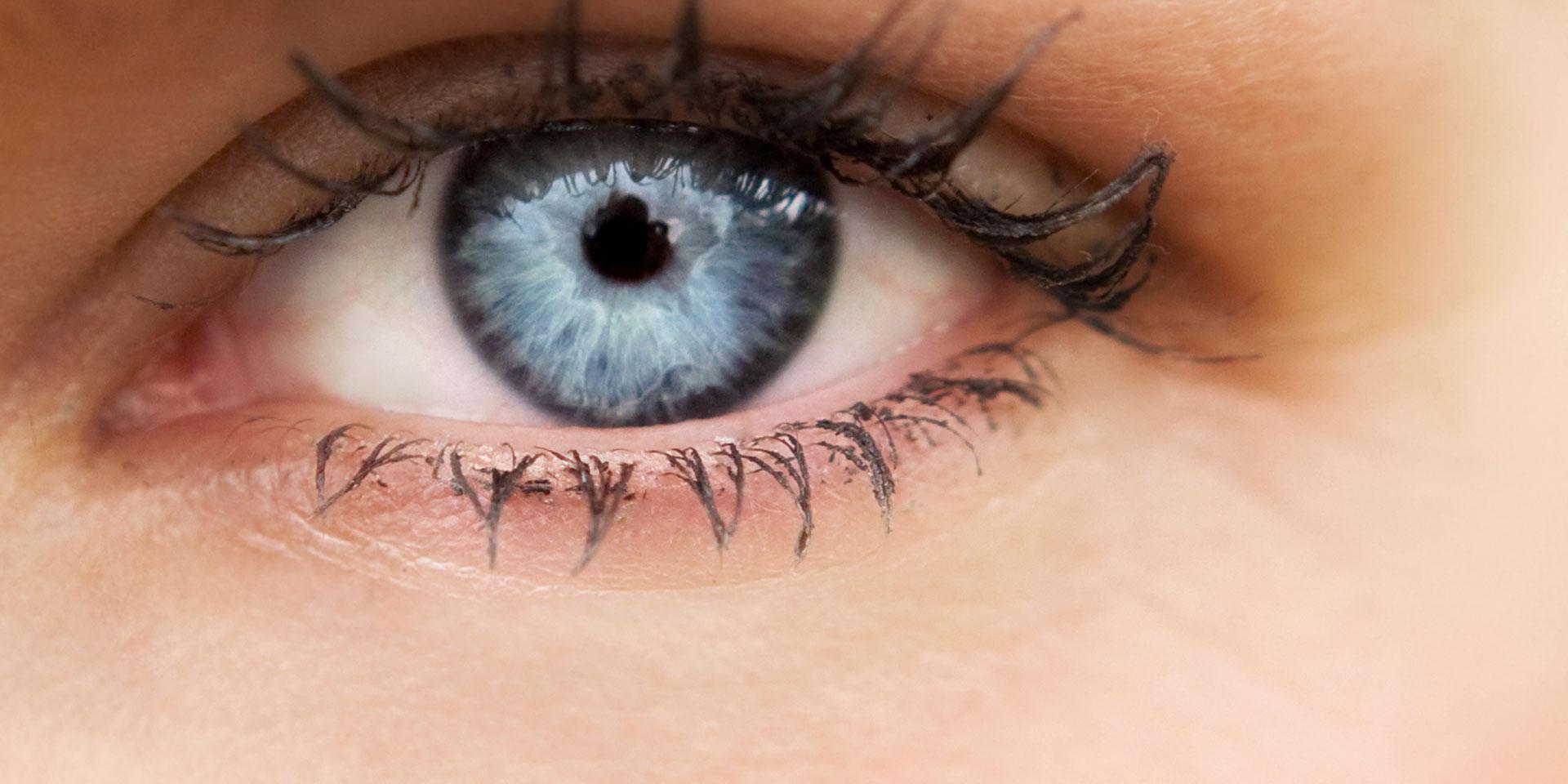 Forstå synet: ZEISS-forskning i de grundlæggende processer i synet
